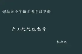 【小语优课】青山处处埋忠骨 教学实录 五下（含教案课件）视频封面