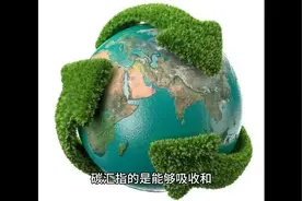 碳汇的分类视频封面