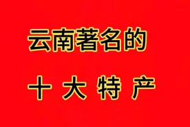 云南省著名的十大特产，你听说过几个？视频封面