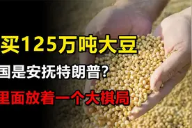 特朗普宣布加征关税后，中国进口了125万吨美国大豆，什么含义？视频封面