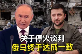 关于停火谈判，俄乌终于达成一致？ 泽连斯基的想法得到克宫同意视频封面