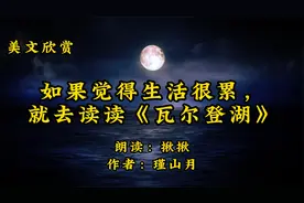 美文诵读，如果觉得生活很累，就去读读《瓦尔登湖》视频封面