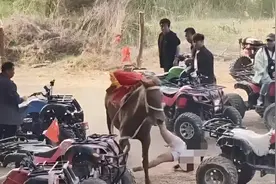 河南荥阳8岁男孩骑马被“倒挂”拖行身亡，家长：马场没给头盔视频封面