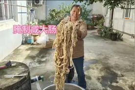 咸大肠怎样腌制，朱嫂全程分享腌制过程，简单方便一看就会视频封面