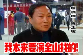 陈之辉：我本来不想拍叶问，片酬给的太低，但我得给洪金宝面子！视频封面