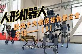 国内人形机器人10大龙头企业，未来有望大爆发的优质公司（1）视频封面