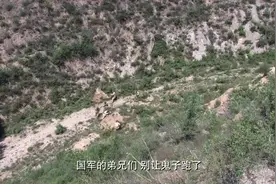 兵临城下：眼看国军就要歼灭鬼子，狙击手突然出现，这下危险了视频封面
