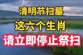 清明节扫墓，这六个生肖，请立即停止祭扫！s384视频封面