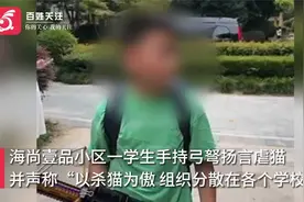 苏州一小学生手持弓弩自曝猎猫 街道办：已教育 打猫工具已上交视频封面
