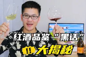 高大上的品酒词太装了！我来给你翻译翻译这些红酒品鉴用语视频封面