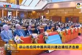 越南的中文版新闻联播，仿佛中国地方台，中国在新闻中占比很大！视频封面