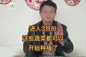 进入3月份，这些蔬菜都可以开始种植了，不要错过视频封面