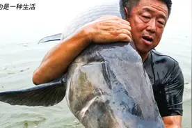 李大毛：穿水裤站水里钓，14米长杆，钓鱼人精神视频封面