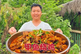 一只土鸡一只甲鱼，炖香下饭真解馋视频封面