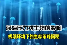 深海压力对生物的影响？极端环境下的生存策略揭秘！视频封面