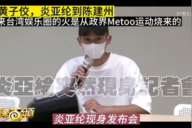从黄子佼，炎亚纶到陈建州，原来台湾娱乐圈的火是从Z界烧来的视频封面