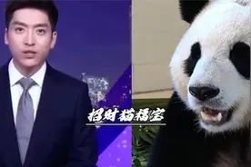 福宝这次真的太争气了连央视点名表扬，没正式展出招财猫的原型大视频封面