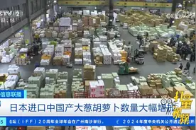 日本进口中国产大葱胡萝卜数量大幅增加视频封面
