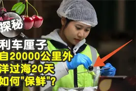 探秘智利车厘子：来自2万公里外，漂洋过海20天，如何“保鲜”？视频封面