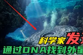 近期，科学家通过基因对比发现了隐藏在深海之中的外星生命？