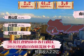 黑龙江鹤岗行政区财政自给情况对比，南山区脱颖而出视频封面