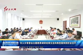 龙岩市人大常委会主题教育调研成果交流和典型案例剖析会召开视频封面