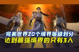 完美世界一共有着20个境界等级划分，达到最强境界的仅仅只有三人视频封面