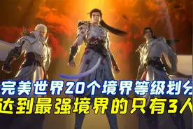 完美世界一共有着20个境界等级划分，达到最强境界的仅仅只有三人