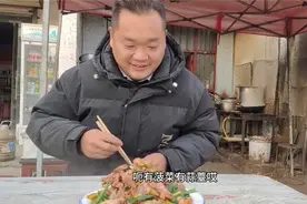 四个品种25袋化肥，张乔二十亩地开始播种玉米，机械化走起真得劲视频封面