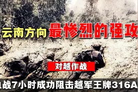 对越作战，云南方向最惨烈的强攻，血战7小时成功阻击越军王牌师视频封面