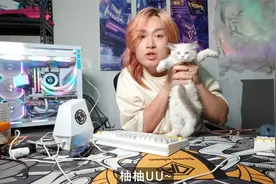 九州风神电源系列排行以及代工厂公布~注意换的线序和缩水的质保