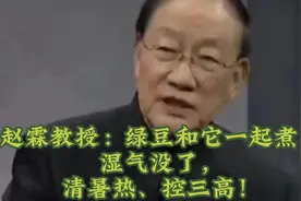 赵霖教授：绿豆和它一起煮，湿气没了，清暑热、控三高！