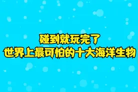 碰到就玩完了，世界上最可怕的十大海洋生物视频封面