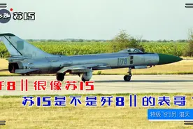 别找爹了，苏15是不是歼8II的表哥？视频封面