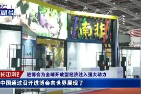 宋微：进博会为全球开放型经济注入强大动力视频封面