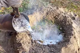 上千度的铝水灌进蚂蚁巢穴得到一个漂亮的艺术品动物世界神奇动视频封面