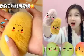 芒果核洗完变“小芒狗'！毛茸茸胖嘟嘟手感超好，真能DIY出来吗？视频封面