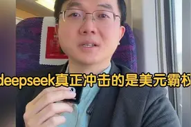 所有分析deepseek的博主！这个博主的观点最正确，认同！视频封面
