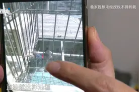 一楼住户建阳光棚？楼上住户担心安全问题视频封面