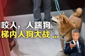 狗咬人，人踹狗， 电梯内人狗大战 …视频封面