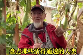 盘点那些活得通透的人类，是经历了什么，才会把人生看得如此通透视频封面