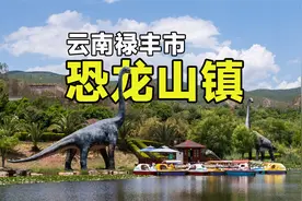 云南恐龙山镇：有恐龙遗址公园，还有陨石坑视频封面