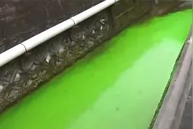 日本一地河水颜色变成刺眼荧光绿，当地政府呼吁民众“不要触碰”视频封面