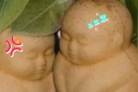 10种全球最稀有的水果，令人呕吐却营养价值极高。慎尝！世界之最视频封面