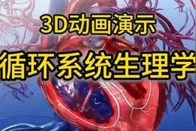 第1集 生命之河：3D全景动态追踪人体血液旅程。3D动画-循环系统视频封面
