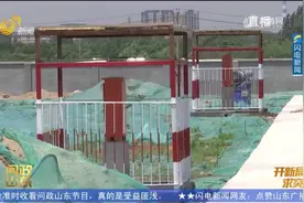 【问政山东】企业缺电力专线淄博高新区铺设进度快过项目建设速度视频封面