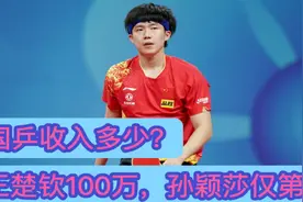 国乒收入多少？王楚钦100万，孙颖莎仅第4，陈梦第3，2黑马惊喜