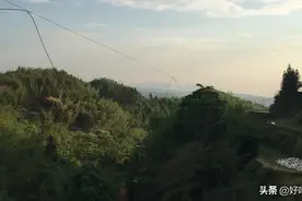 你可曾想起你儿时的伙伴图片