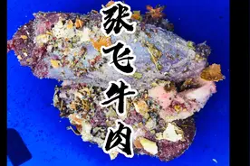 阆中张飞牛肉，小厨在家做了一次家庭版的张飞牛肉很不错视频封面