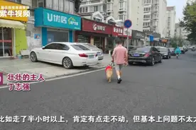 【#工作7年的江苏首只导盲犬将退役# 主人不舍：老伙计视频封面